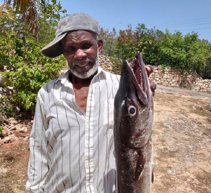 Incredible things done by seniors, Old man proudly holding a barracuda on a hook