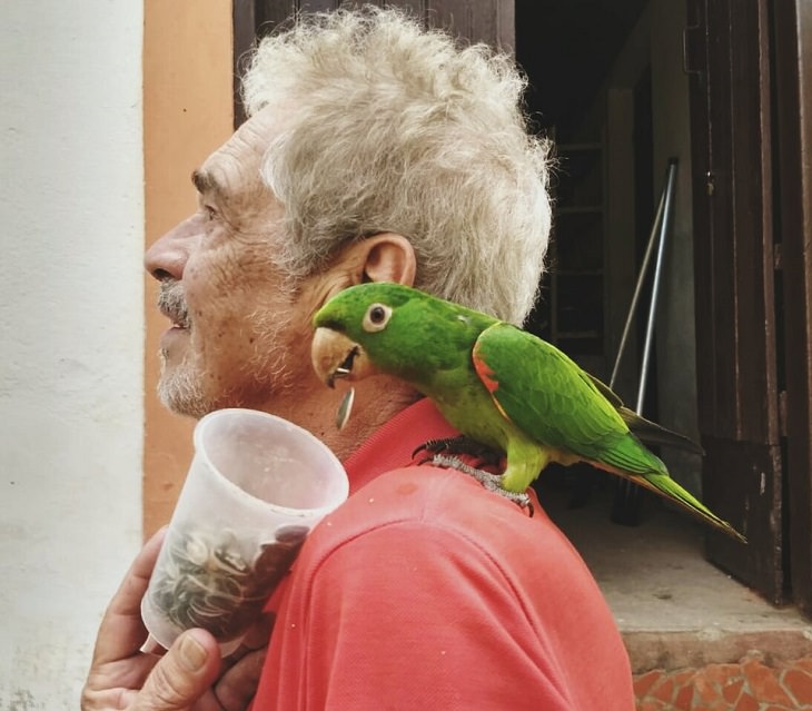 Incredible things done by seniors, Old man with a green parrot on his shoulder