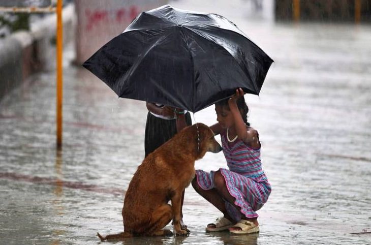 Beautiful pictures of touching, cute, and warm moments, Girl holding umbrella over dog in the rain