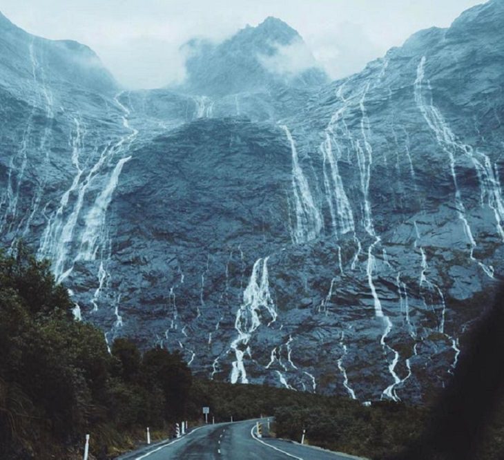 Incredible photographs of beautiful and rare animals and phenomena of nature, The road to Fiordland National Park