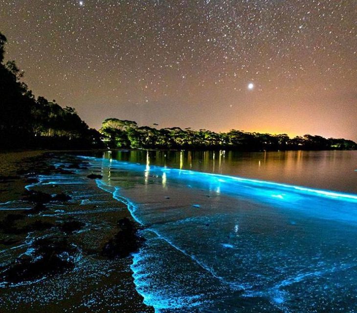 Beautiful pictures of touching, cute, and warm moments, Beach with flowing water that is glowing blue