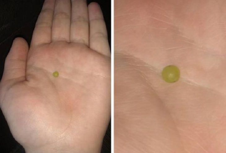 Incredibly tiny, small, and miniature everyday items and animals, Tiny grape