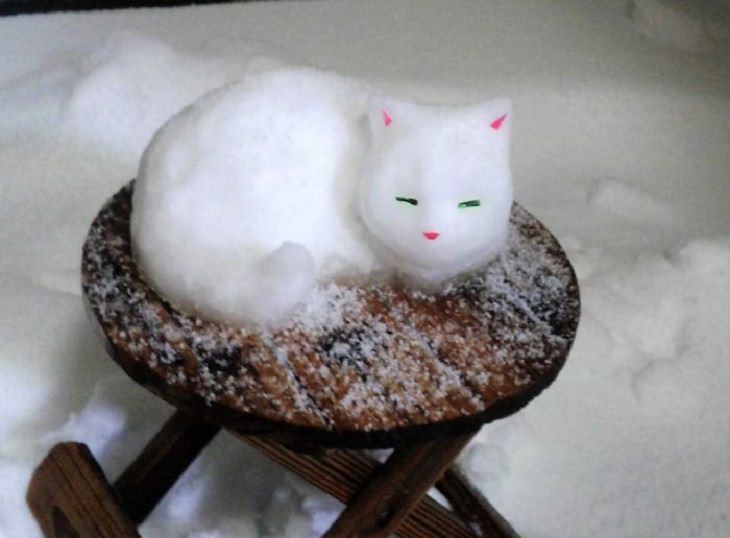 Residents of Tokyo create creative and unique snowmen and ice sculptures, Snow sculpture of a suspicious cat on a table