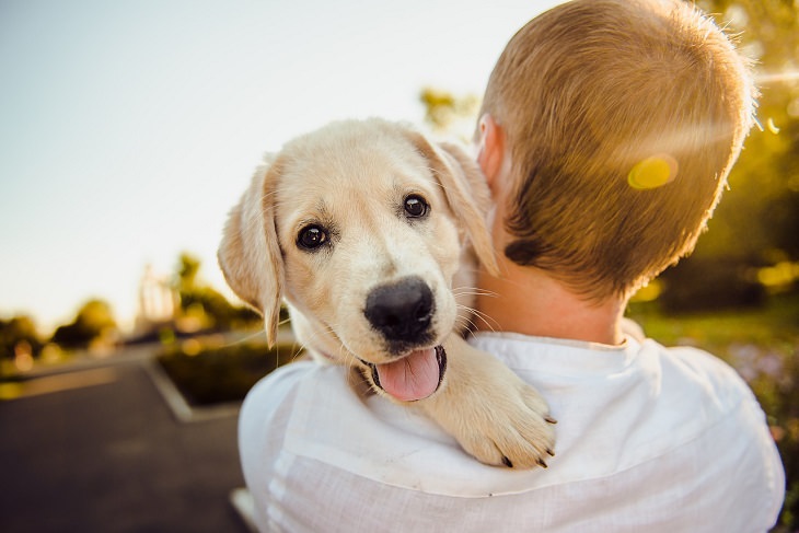 Best feel good stories of 2020, Boy with back turned holding a puppy