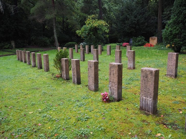 Weird and bizarre facts about the human body, Cemetery during the day with rows of headstones