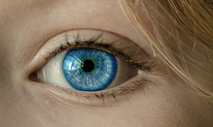 Weird and bizarre facts about the human body, Close-up of a blue eye