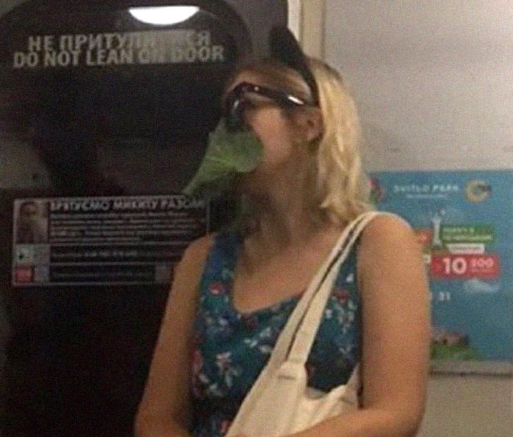 Hilarious photos of strange masks spotted on the subway, Woman wearing a leaf as a mask