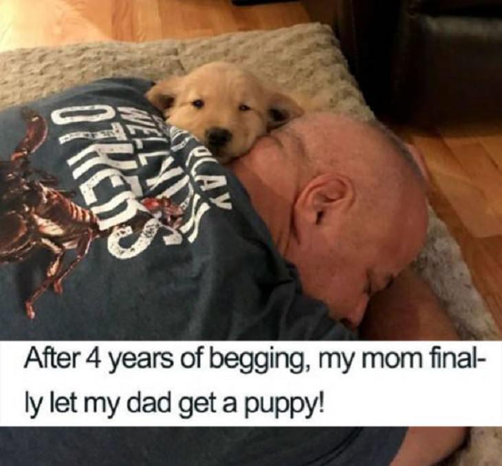 Photos of feel good stories that will make you smile, Man hugging surprised puppy