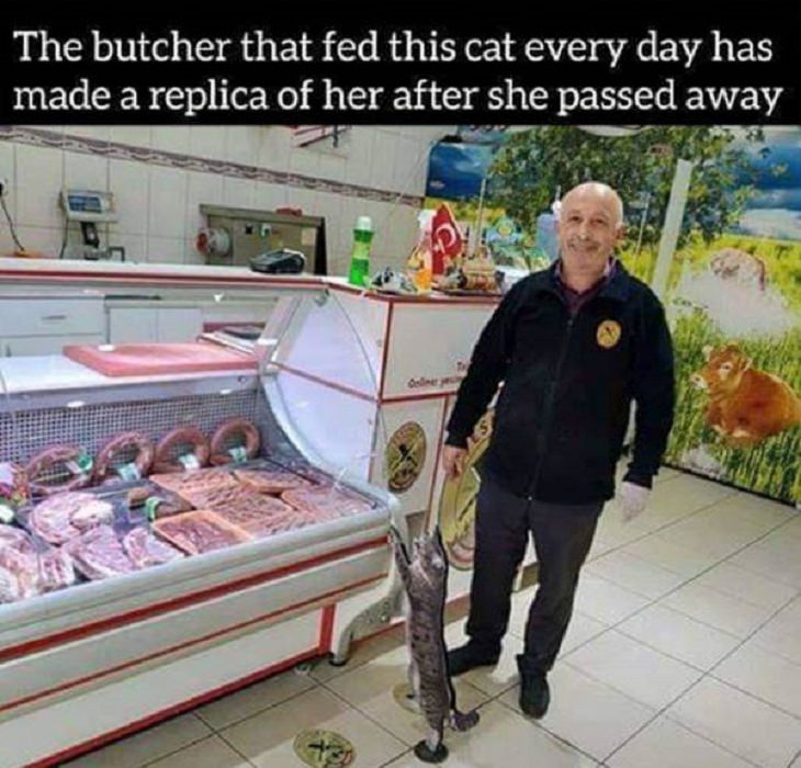 Photos of feel good stories that will make you smile, Man in butcher shop next to replica of cat