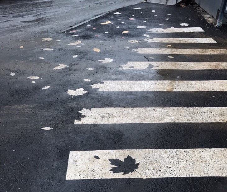 Smart, beautiful, innovative, and unique designs found in cities around the world, Yekaterinburg, Russia, autumn-themed pedestrian crossings