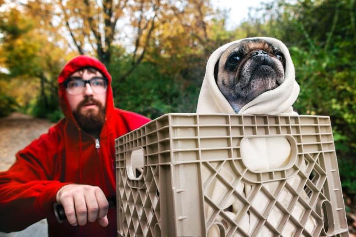 Cute and funny pet costumes for Halloween 2020, Man and dog dressed as the kid from E.T and E.T