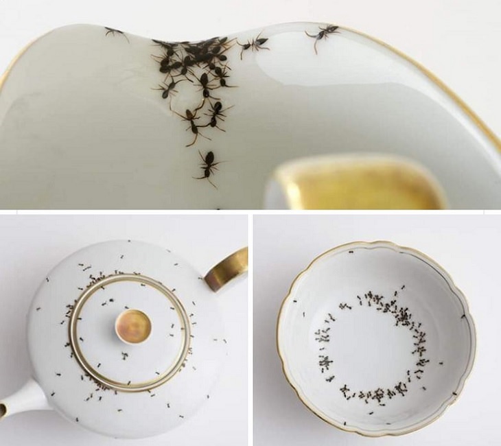 Hilarious bad DIY projects that failed, Porcelain Crockery and bowls with handpainted ants