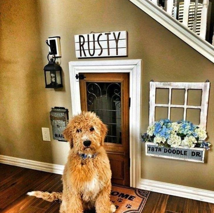 Quarantine DIY and homemade projects, Dog named rusty in front of large in-house doghouse