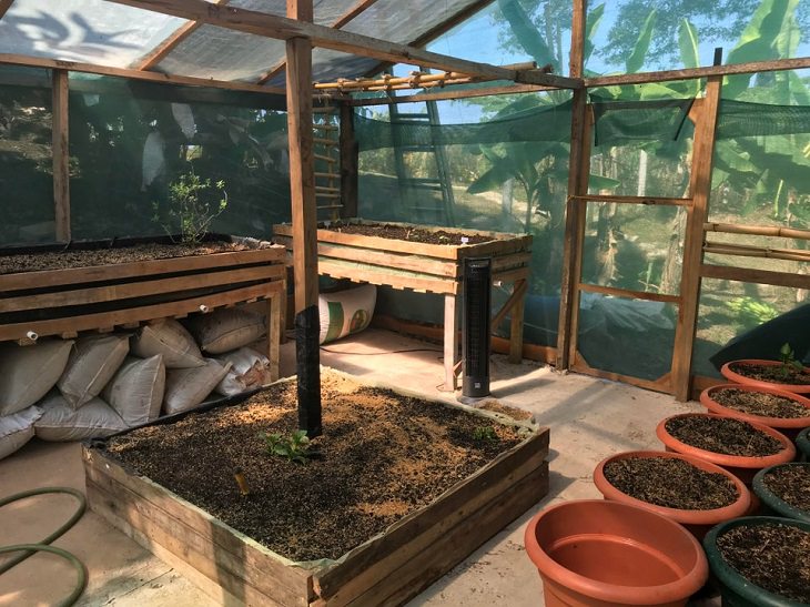 Quarantine DIY and homemade projects, DIY greenhouse
