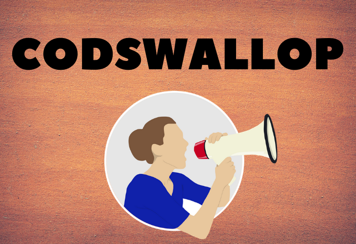 Fancy words you can use every day to add to your vocabulary, codswallop