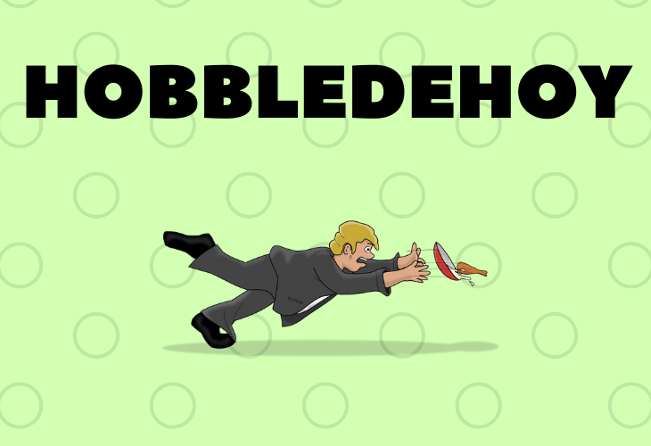 Fancy words you can use every day to add to your vocabulary, hobbledehoy