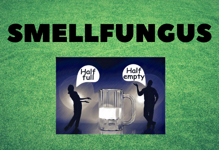 Fancy words you can use every day to add to your vocabulary, Smellfungus