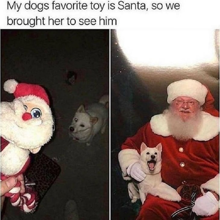 Feel Good Photographs that show sweet stories and acts of kindness, Dog happily sitting on Santa’s lap