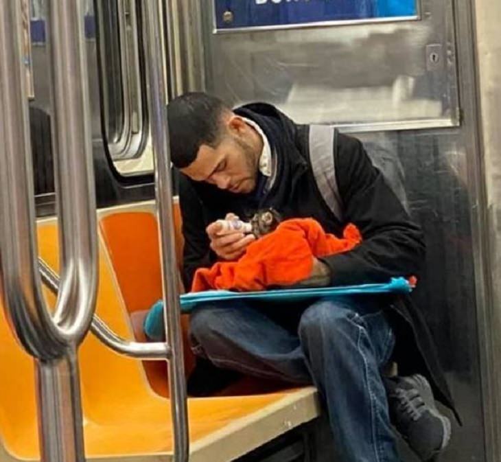 Feel Good Photographs that show sweet stories and acts of kindness, A young kitten being bottle-fed on the subway