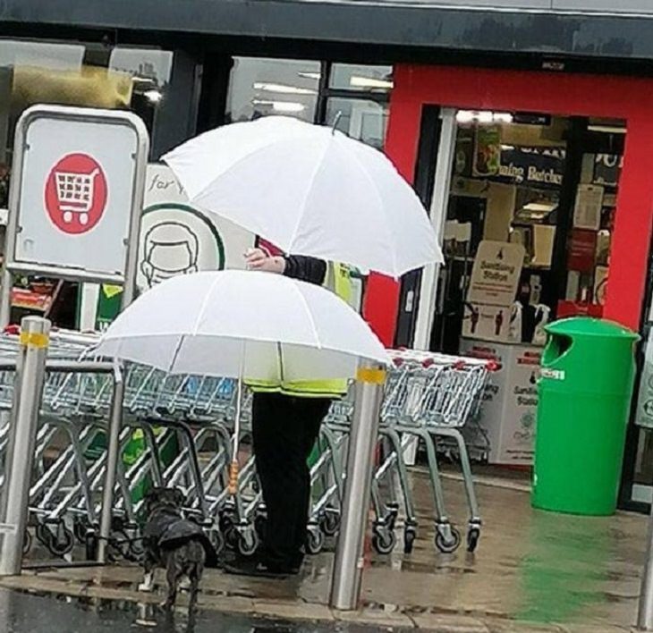 Feel Good Photographs that show sweet stories and acts of kindness, A staff member of a grocery store waits outside protecting a patron’s dog from rain