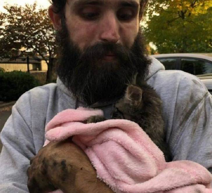 Feel Good Photographs that show sweet stories and acts of kindness, Kitten being held by rescue worker