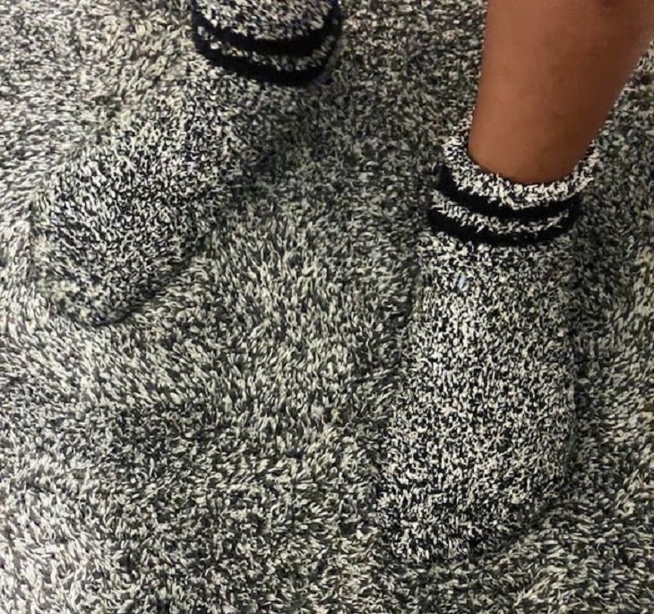 Funny pictures of household items, animals, and people that camouflaged, Grey furry socks that match with a carpet