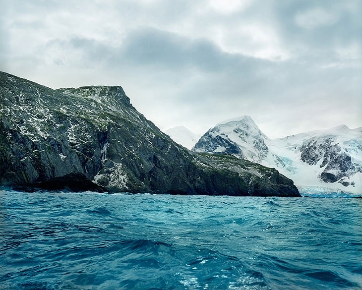 Photographs of the Oldest Living Things in the World by Rachel Sussman, Antarctic Moss #0212-7B33 (5,500 years old; Elephant Island, Antarctica)