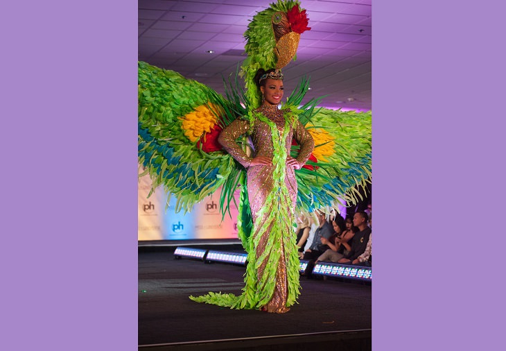 Magnificent, impressive and creative dresses and outs for the Miss Universe National Costume Show of 2017, 2018 and 2019, Anika Conolly, Miss Cayman Islands, 2017