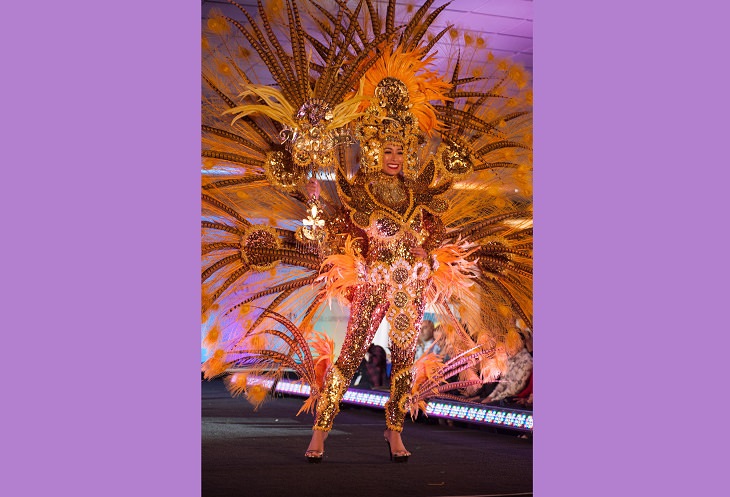 Magnificent, impressive and creative dresses and outs for the Miss Universe National Costume Show of 2017, 2018 and 2019, Elena Correa, Miss Costa Rica, 2017