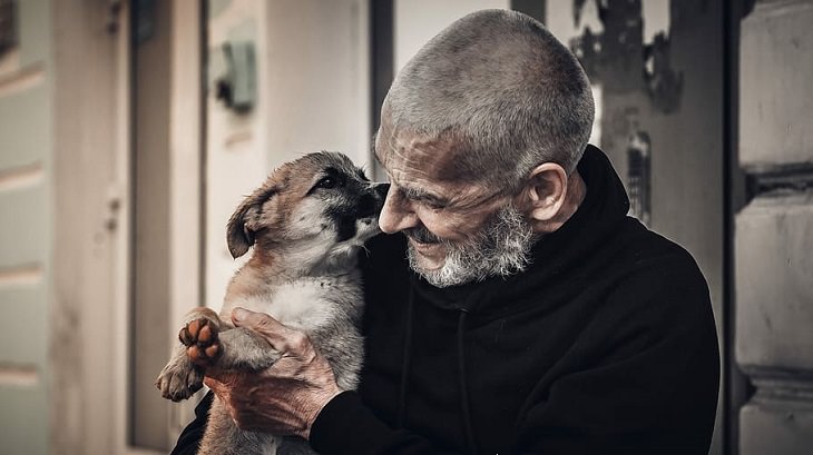 Estudios Demuestran Los Beneficios De La Terapia Animal Reduce las respuestas negativas al estrés mental