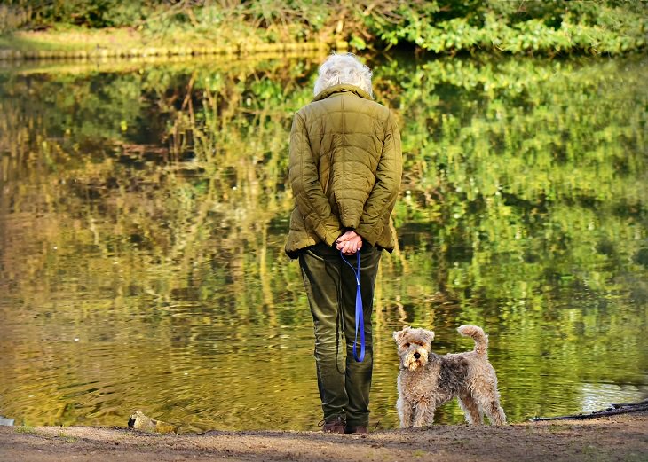 Effects, mental and physical health benefits of pet therapy, animal-assisted therapy, pet ownership