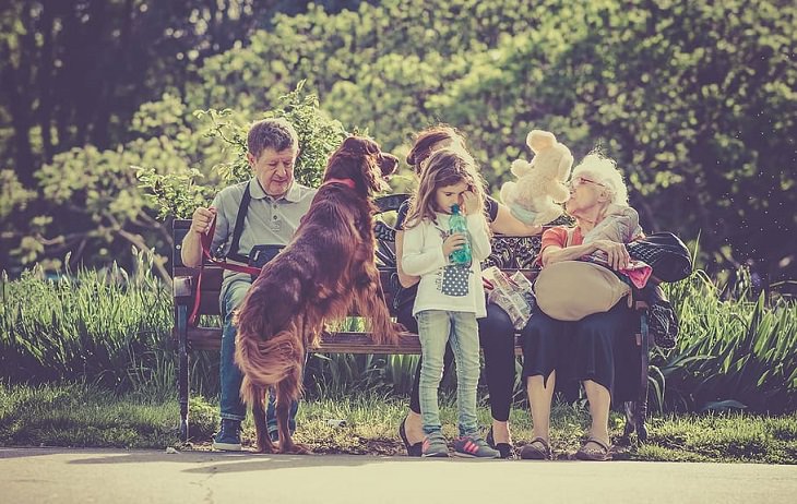 Estudios Demuestran Los Beneficios De La Terapia Animal Ayuda para la supervivencia a largo plazo de pacientes con infarto de miocardio