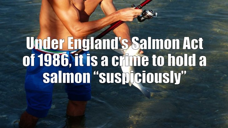 Weird and strange laws from countries and states all across the planet, Under England’s Salmon Act of 1986, it is a crime to hold a salmon “suspiciously”