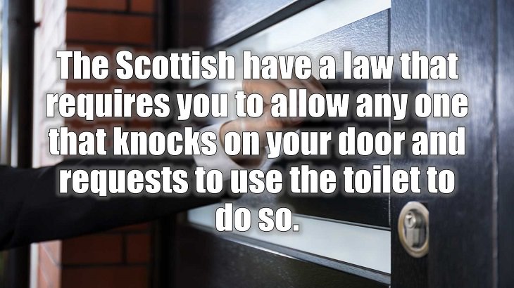 Weird and strange laws from countries and states all across the planet, The Scottish have a law that requires you to allow any one in that knocks on your door and requests to use the toilet