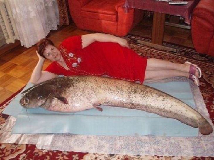 Strange, odd and weird things only found in Russia, woman lying down next to a large fish