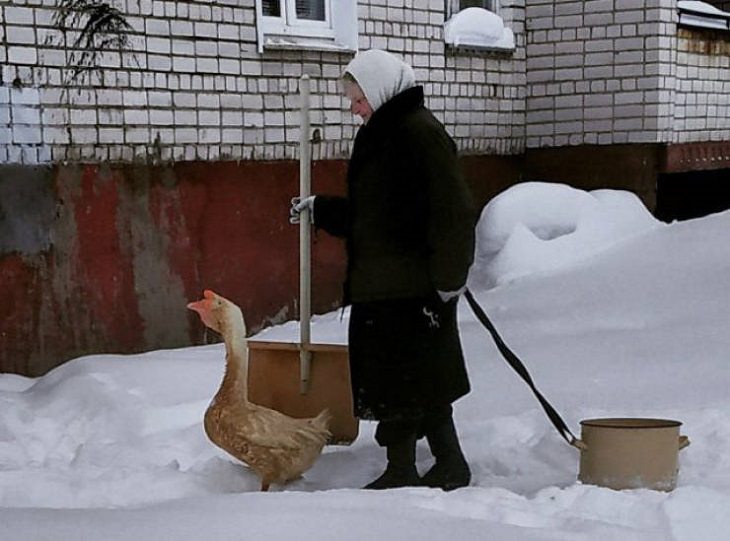Strange, odd and weird things only found in Russia, woman with a goose walking next to her