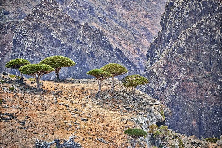 Remotest Places on Earth Socotra Island, Yemen