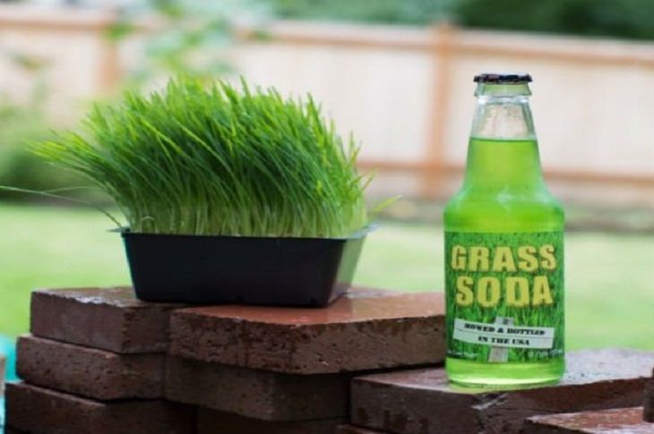 Weird, Strange and Odd soda flavors from around the world, Grass Soda