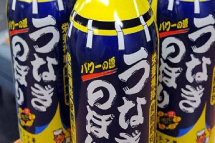 Weird, Strange and Odd soda flavors from around the world, Eel Soda