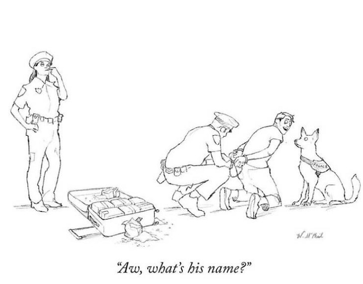 Hilarious comics and satire on everyday situations by New Yorker artist Will McPhail