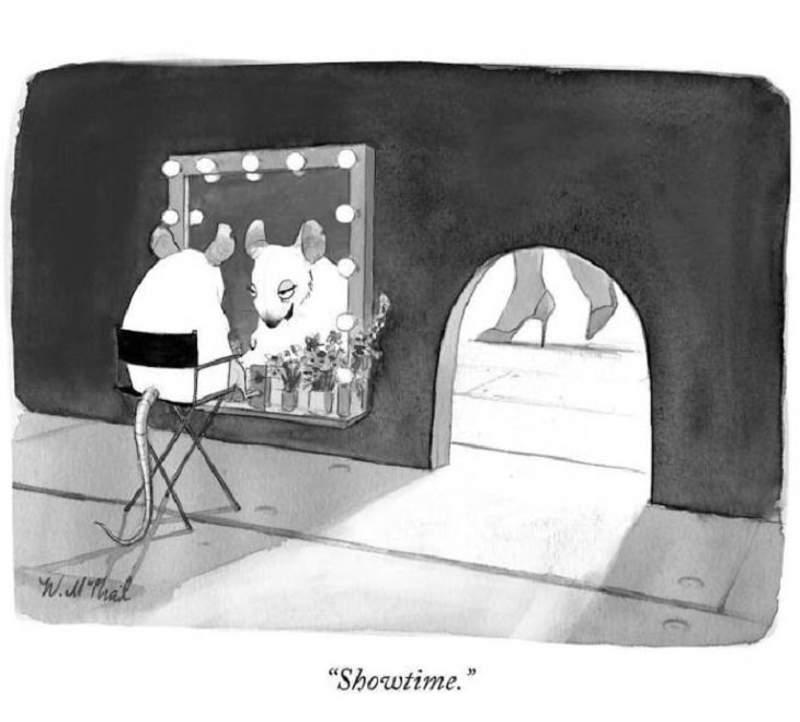 Hilarious comics and satire on everyday situations by New Yorker artist Will McPhail