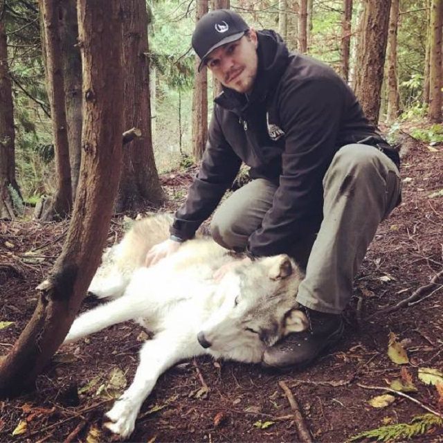 Visitors playing with friendly wolves in the Predators of the Heart Sanctuary in Washington, between Seattle and Vancouver