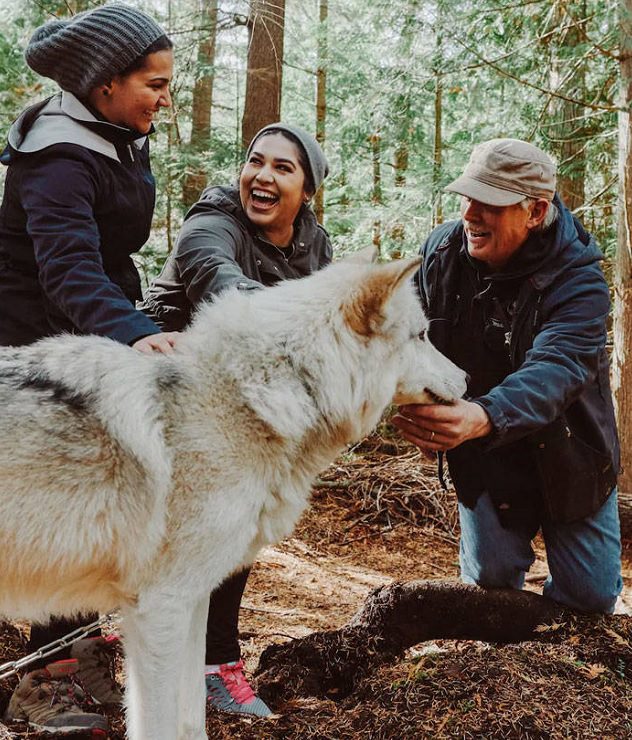 Visitors playing with friendly wolves in the Predators of the Heart Sanctuary in Washington, between Seattle and Vancouver