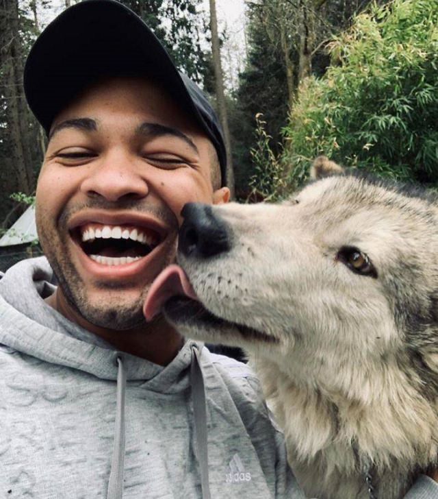 Visitors playing with friendly wolves in the Predators of the Heart Sanctuary in Washington, between Seattle and Vancouver