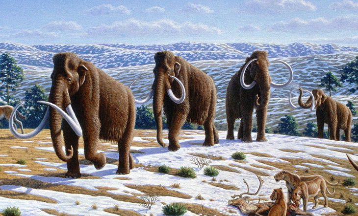  Neanderthals Mammoths