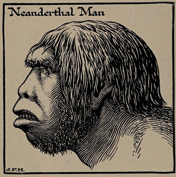 Neanderthals 