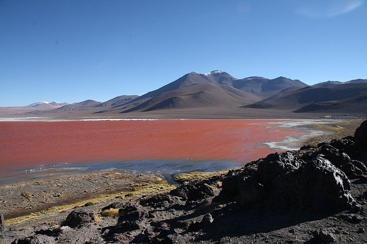 Laguna Colorada, Bolivia