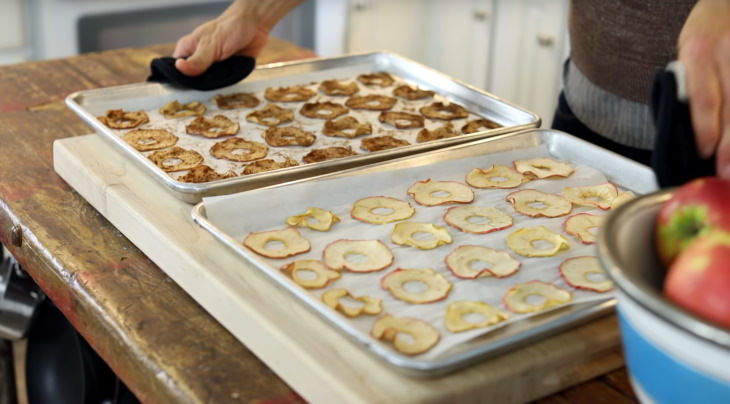 Dehydrated Foods Guide and Recipes dried apples in oven