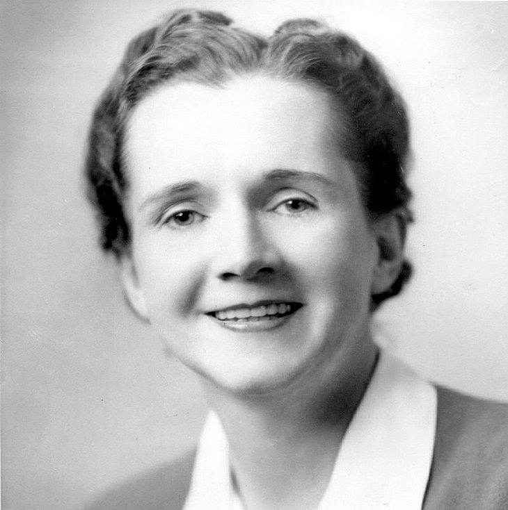 Strong and empowering women and their incredible trail blazing achievements,Rachel Carson (1907 - 1964), marine biologist and author of “Silent Spring”, whose many works greatly advanced the global environmental movement