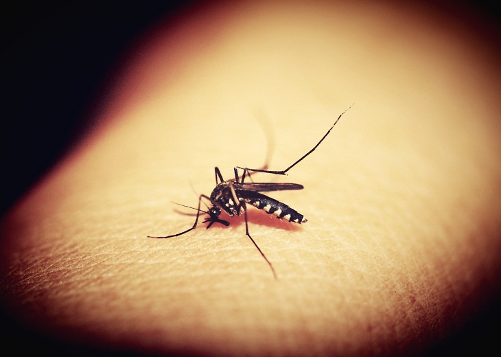 Malaria epidemic